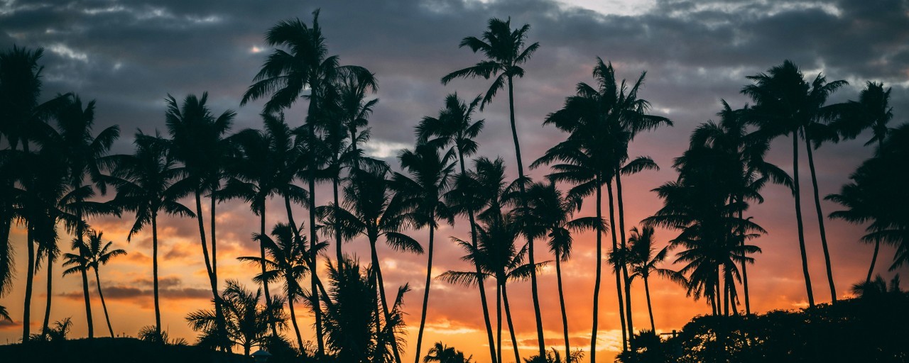 Lea & Julian's Wedding